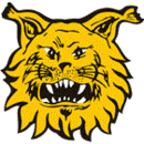 Ilves